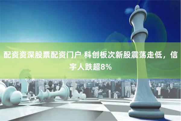 配资资深股票配资门户 科创板次新股震荡走低，信宇人跌超8%