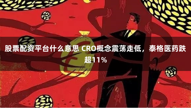 股票配资平台什么意思 CRO概念震荡走低，泰格医药跌超11%