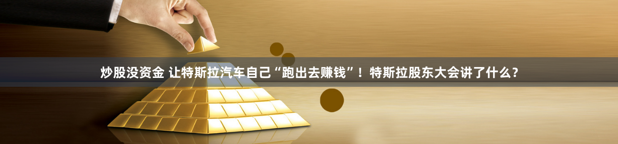炒股没资金 让特斯拉汽车自己“跑出去赚钱”！特斯拉股东大会讲了什么？